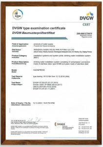 Сертификат DVGW for ST
