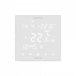 Auraton-Pictor