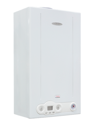 DELFIS-CTFS-24-AF-котел-газовый-FONDITAL-битермика